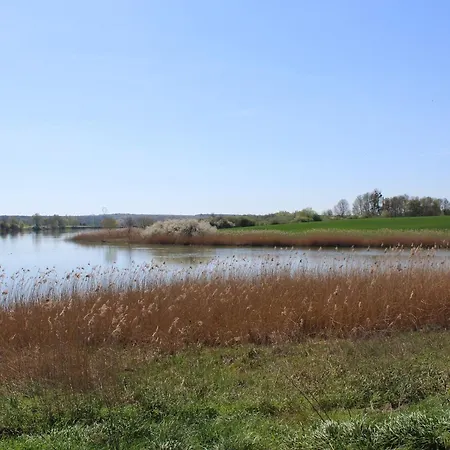 Mobil-home Cosy Avec Terrasse Au Bord De L'etang De Parroy, Ideal Pour Familles Et Amateurs De Nature Et Loisirs - Fr-1-584-307 Bures (Meurthe-et-Moselle)